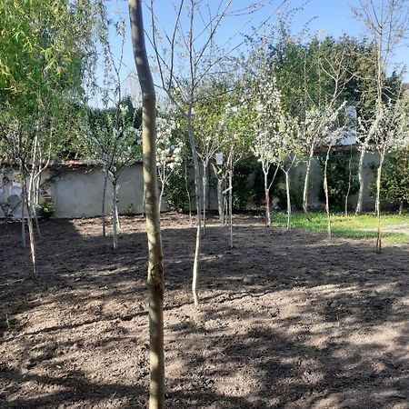 Chambres D'Hotes Gobillon Maintenon Dış mekan fotoğraf