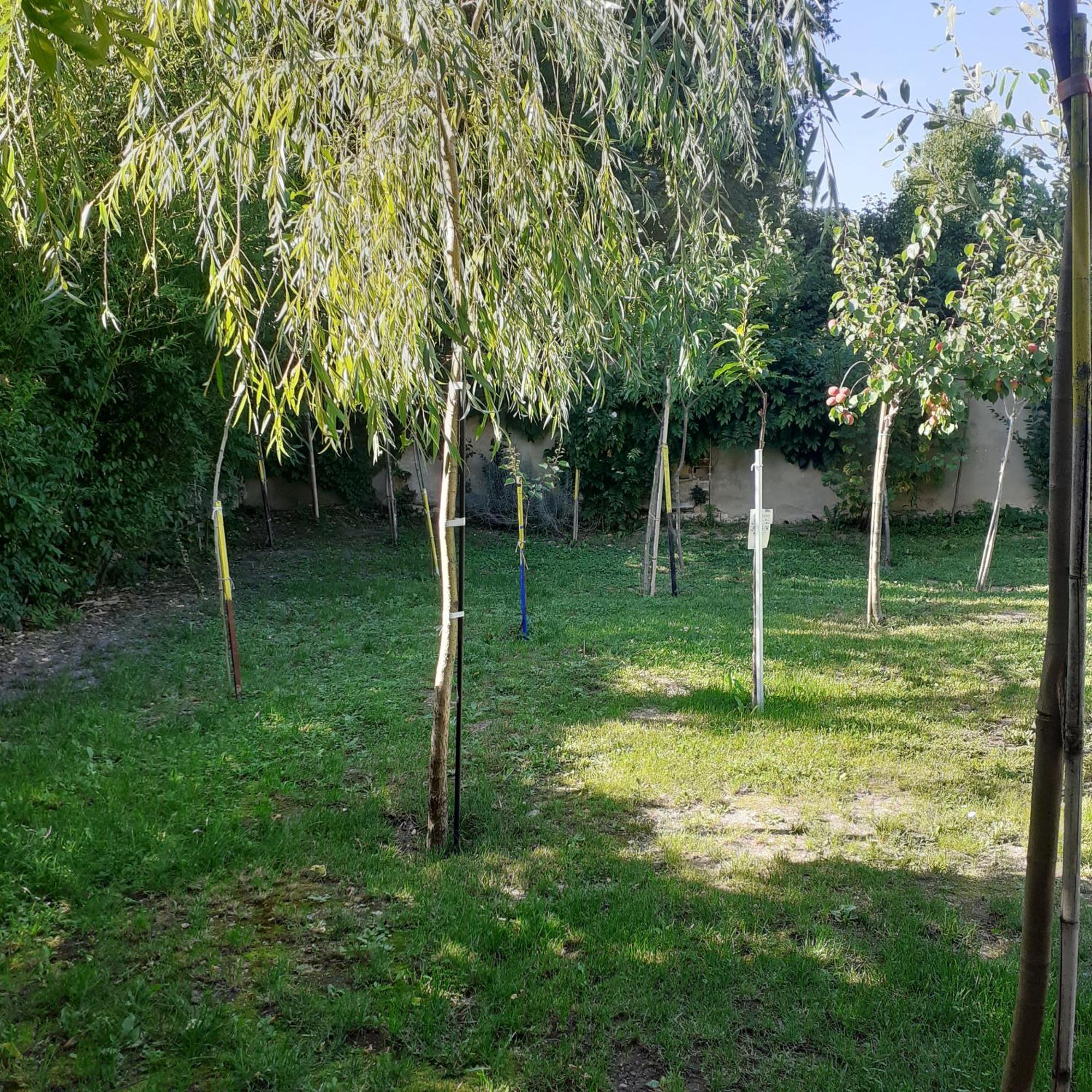 Chambres D'Hotes Gobillon Maintenon Dış mekan fotoğraf