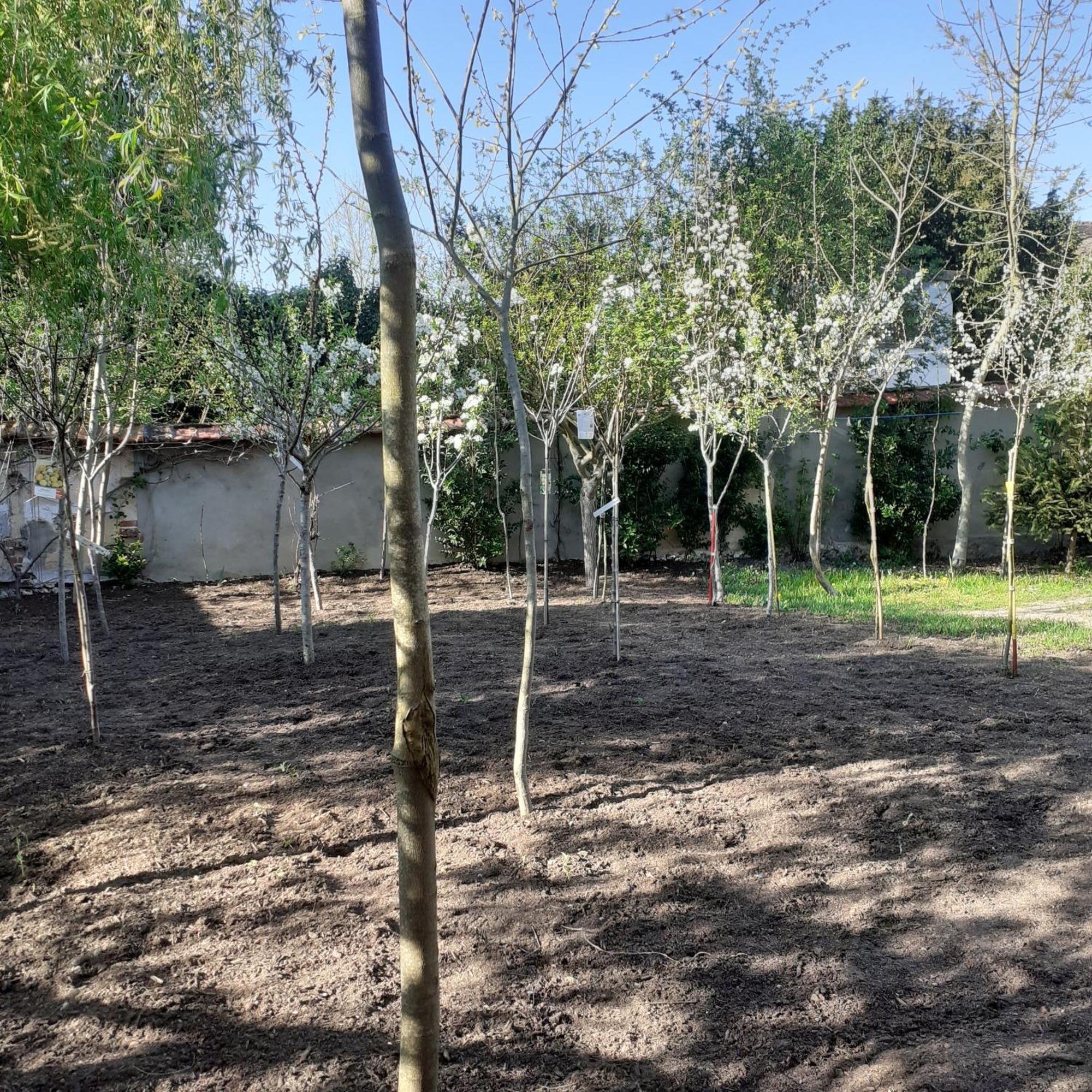 Chambres D'Hotes Gobillon Maintenon Dış mekan fotoğraf